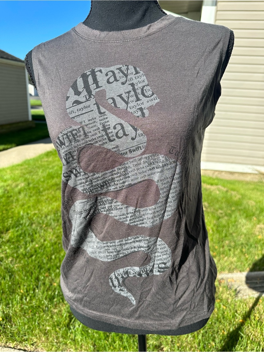 Fans Taylor Swift Snake Graphic Sleeveless Concert Tee - Gray